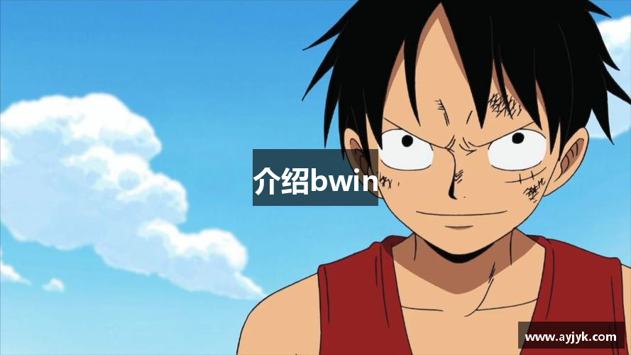 介绍bwin